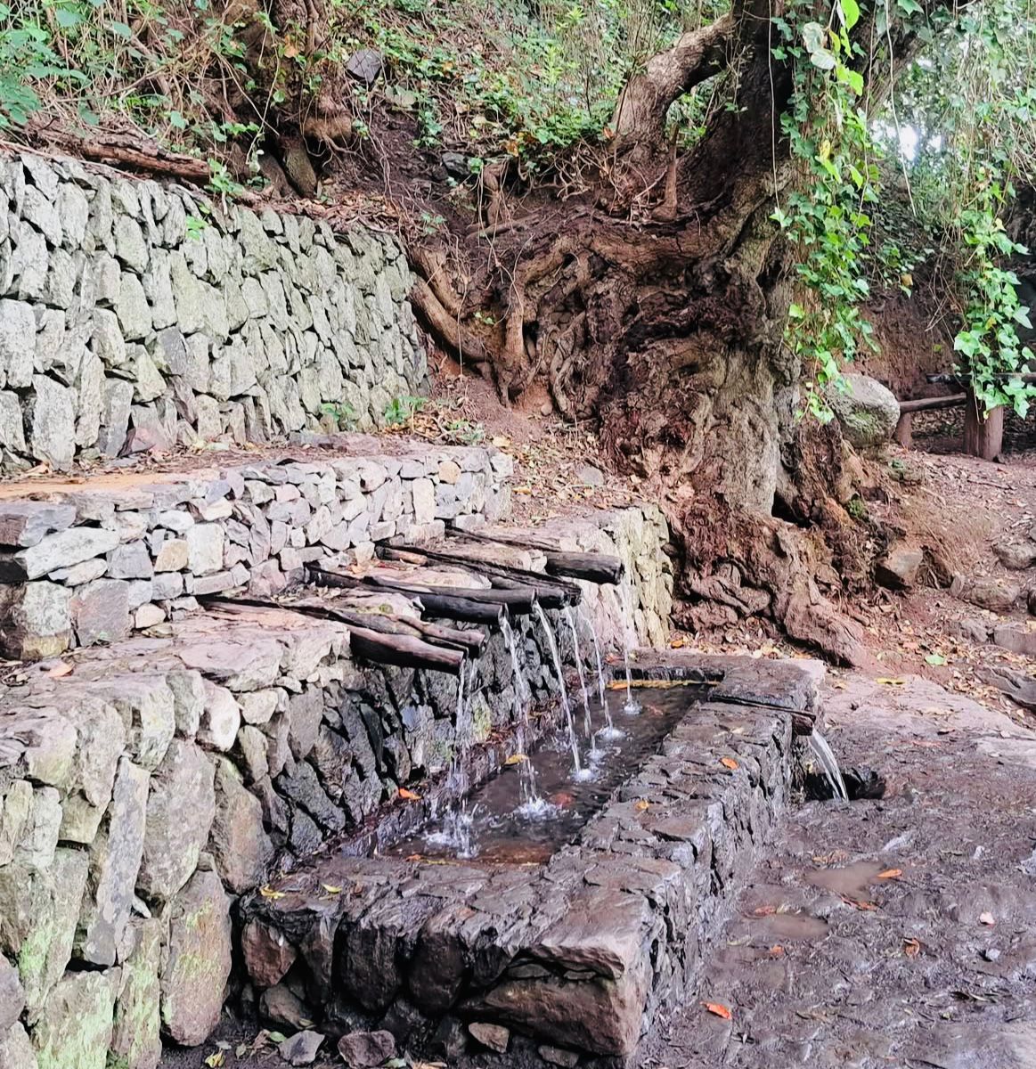 Excursión a Chorros de Epina– servicios de taxi en La Gomera