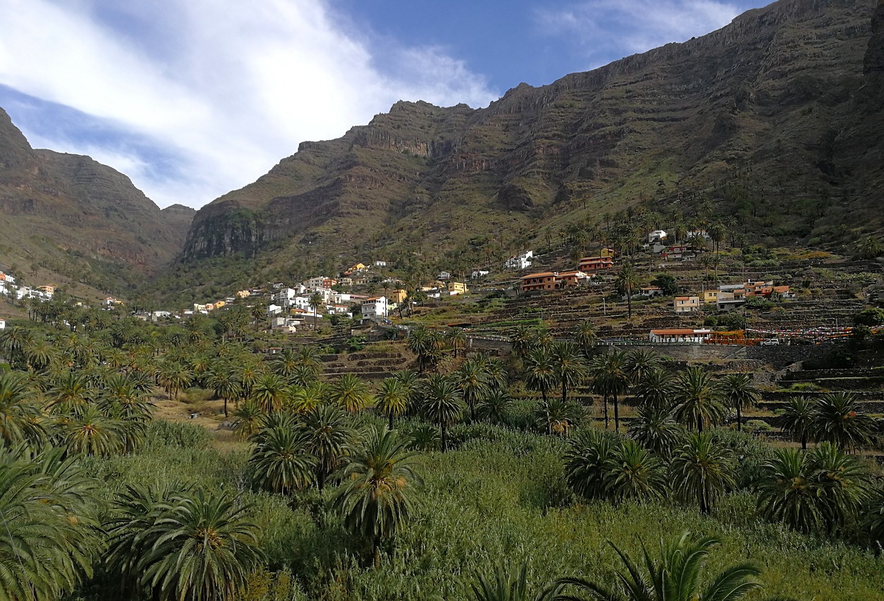 Excursión a Valle Gran Rey– servicios de taxi en La Gomera